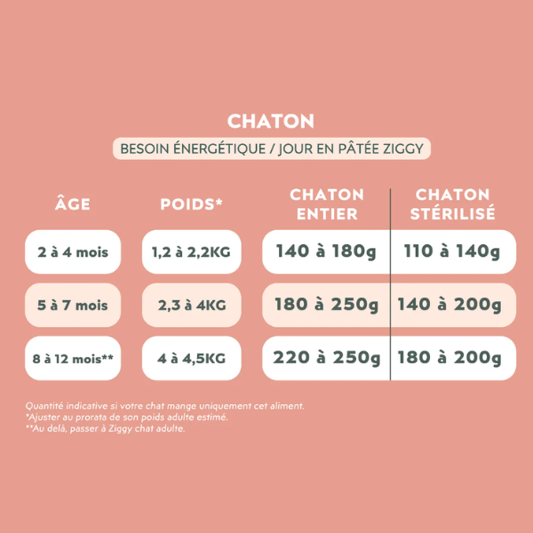 Ziggy Pâtée Chaton Boeuf - 4 x 100 g 
