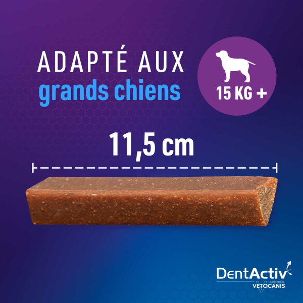 DentActiv Pour Grand Chien