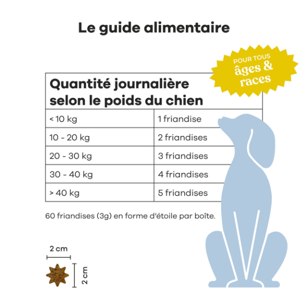 Treatsy Probiotiques pour Chien - 90 g