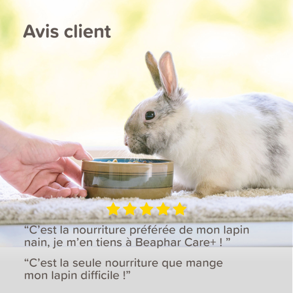 Beaphar Care+ Alimentation pour Lapin Senior - 1,5 kg