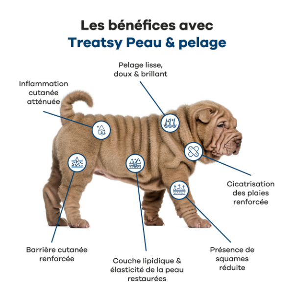 Treatsy Huile Nutritionnelle Peau & Pelage pour Chien & Chat - 250 ml 
