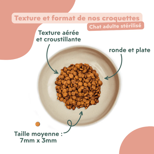 Ziggy Croquettes Chat Stérilisé au Poulet 