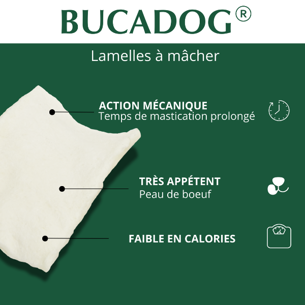 Bucadog Lamelles à Mâcher pour Chien