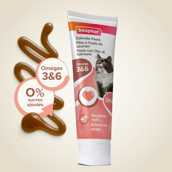 Beaphar Pâte au Saumon - 100 g