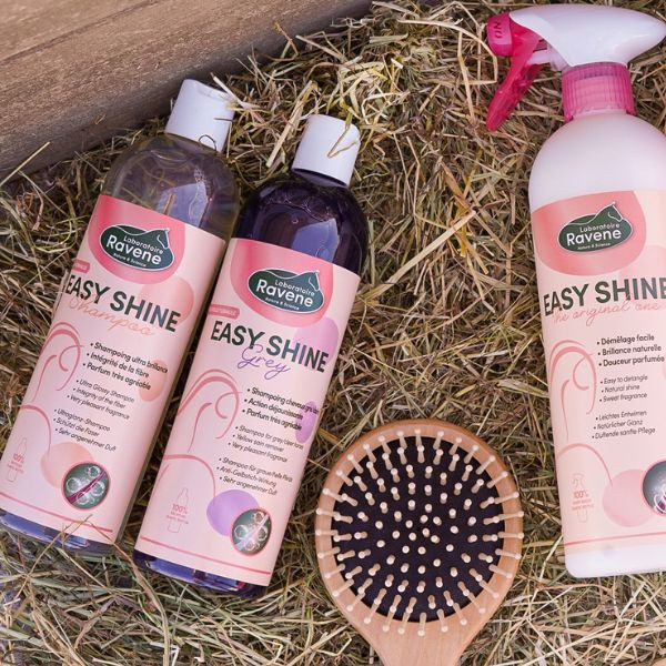 Ravene Easy Shine Grey Shampooing - 500 ml