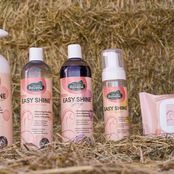 Ravene Easy Shine Grey Shampooing - 500 ml