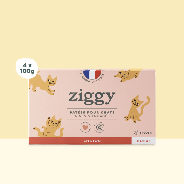 Ziggy Pâtée Chaton Boeuf - 4 x 100 g 