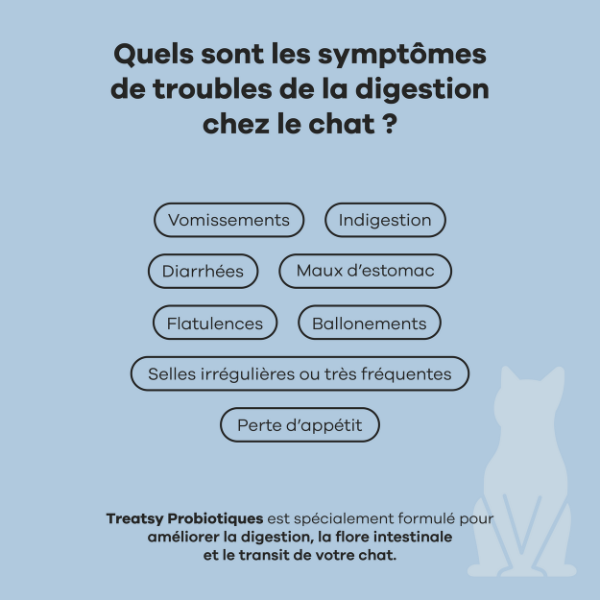 Treatsy Probiotiques pour Chat - 90 g