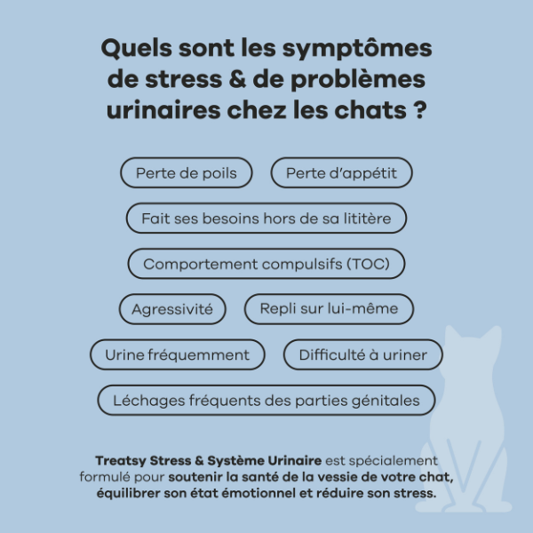 Treatsy Stress & Système Urinaire pour Chat - 90 g