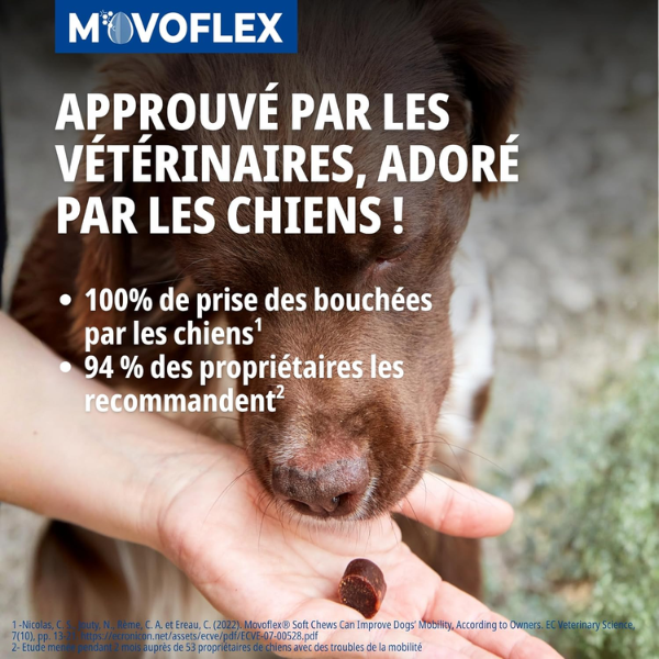 Virbac Movoflex
