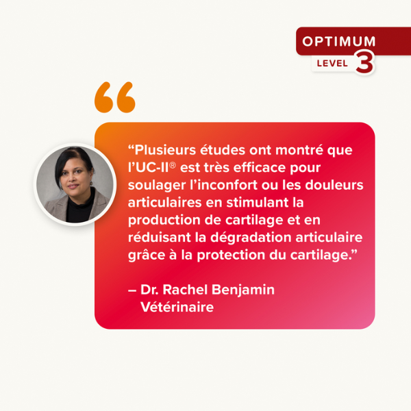 Beaphar Bouchées Flexifit - 175 g