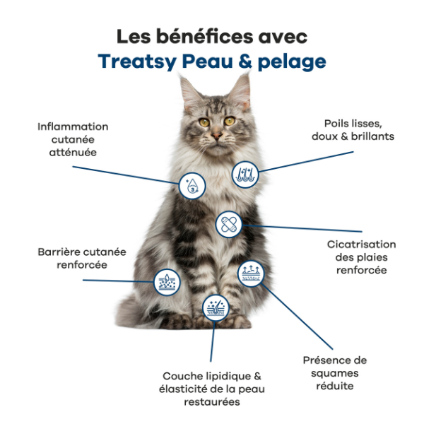 Treatsy Huile Nutritionnelle Peau & Pelage pour Chien & Chat - 250 ml 