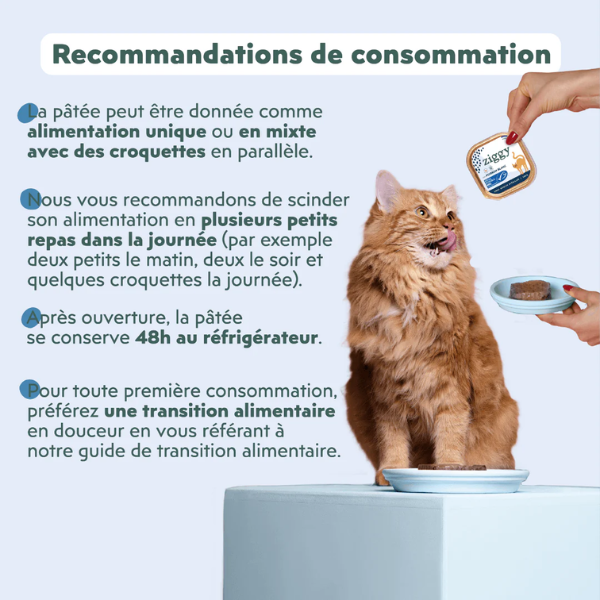 Ziggy Pâtée Chat Stérilisé Poisson - 4 x 100 g