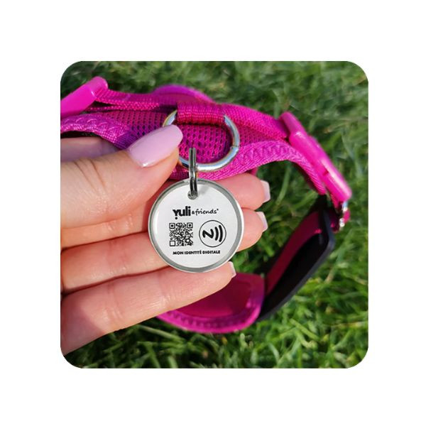 Yuli Médaille D'identification Chien & Chat