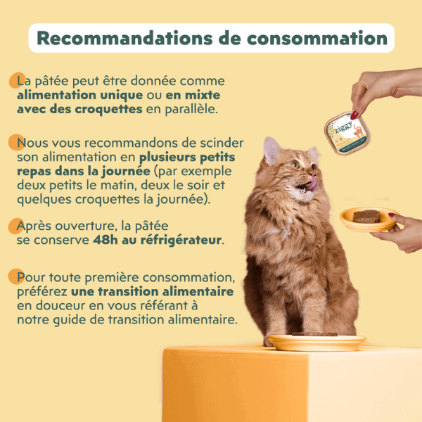 Ziggy Pâtée Chat Stérilisé au Poulet - 4 x 100 g