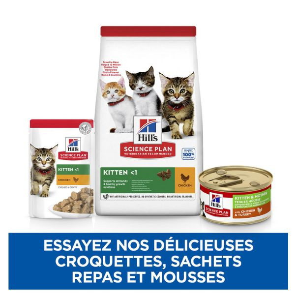Hill's Science Plan Kitten & Mother - 12 x 85 g