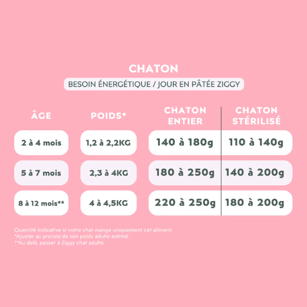 Ziggy Pâtée Chaton Truite - 4 x 100 g 