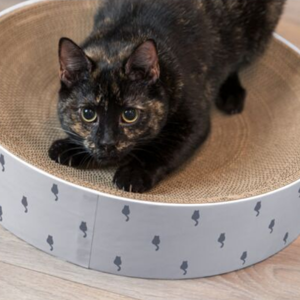 Trixie Lit Griffoir Lilly pour Chat