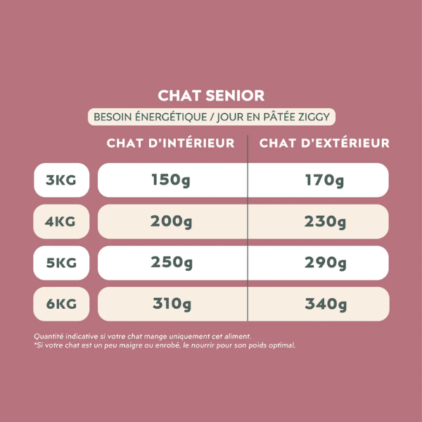 Ziggy Pâtée Chat Senior - 4 x 100 g