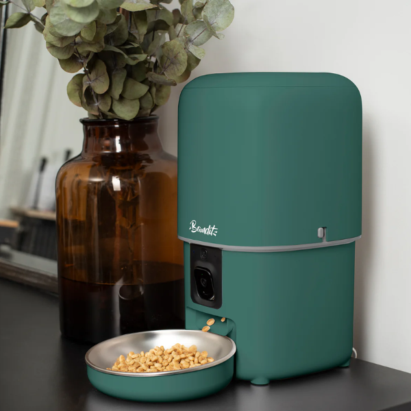 Bandit Distributeur de Croquettes Intelligent 