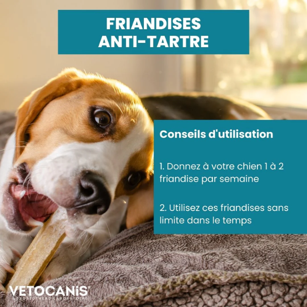Friandises Anti Tarte Pour Chien 