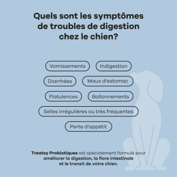 Treatsy Probiotiques pour Chien - 90 g