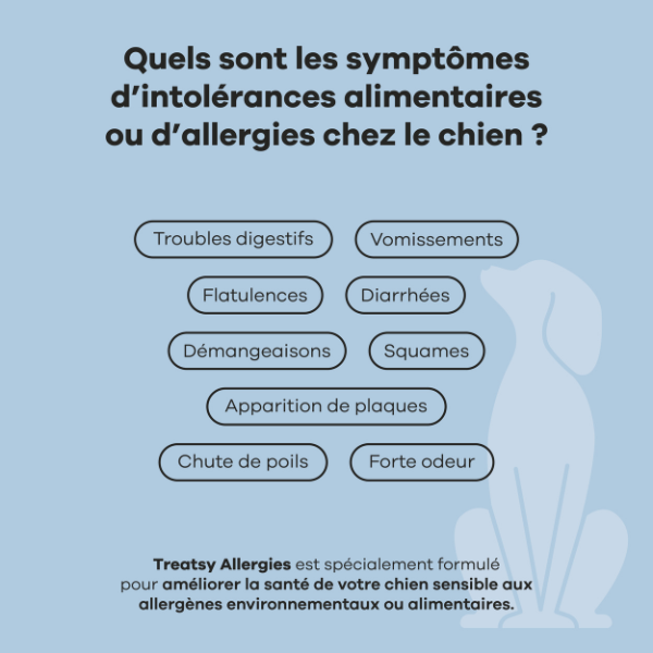 Treatsy Allergie pour Chien - 180 g
