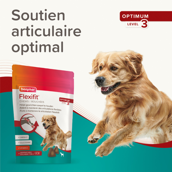 Beaphar Bouchées Flexifit - 175 g