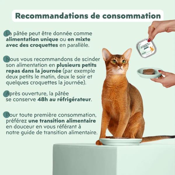 Ziggy Pâtée Urinaire Chat - 4 x 100 g