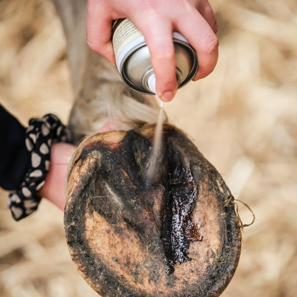 Ravene Pedicade Soin Fourchette - 250 ml