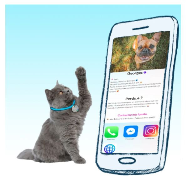 Yuli Médaille D'identification Chien & Chat