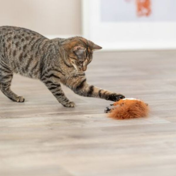 Trixie Jouet Ecureuil pour Chat