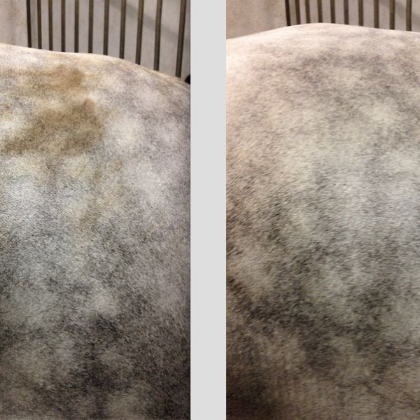 Ravene Easy Shine Mouss - 200 ml