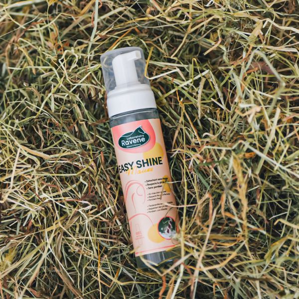 Ravene Easy Shine Mouss - 200 ml