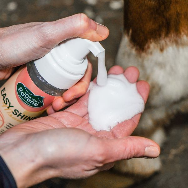 Ravene Easy Shine Mouss - 200 ml