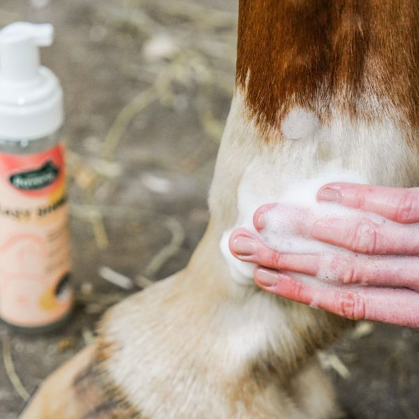 Ravene Easy Shine Mouss - 200 ml