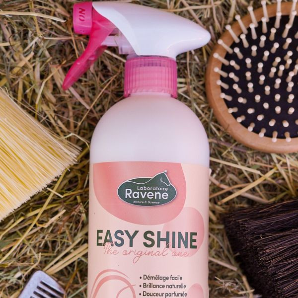Ravene Easy Shine Lustrant - 750 ml