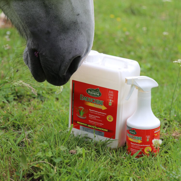 Ravene Emouchine Total Spray