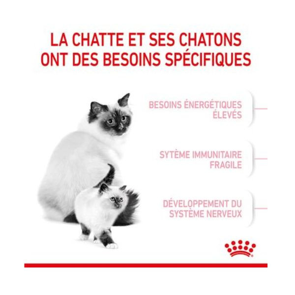 Royal Canin Mother & Babycat