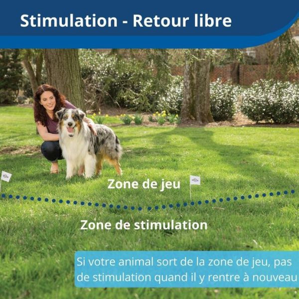 PetSafe PIF45-13479 - Clôture Anti-Fugue Stay&Play Sans Fil pour Chien