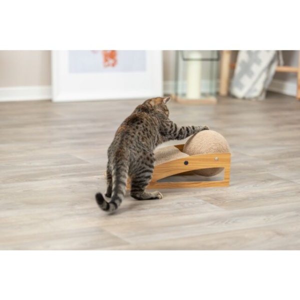 Trixie Griffoir Rampe Avec Balle pour Chat 