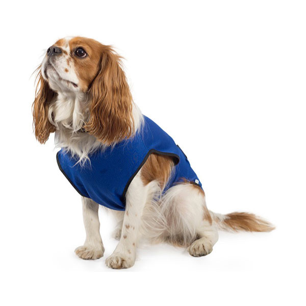 Ancol Manteau Rafraîchissant pour Chien - XXLARGE