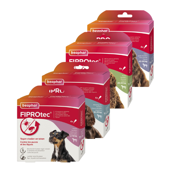 Beaphar FIPROtec pour Chien - 4 pipettes