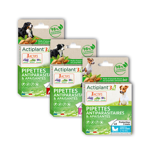 ActiPlant'3 Insectifuge Antiparasitaire pour Chien BIO - 3 pipettes 