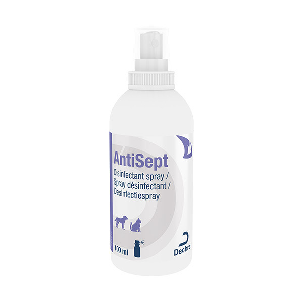 AntiSept Spray Désinfectant