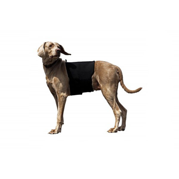 Back on Track Protection Lombaire pour Chien - M