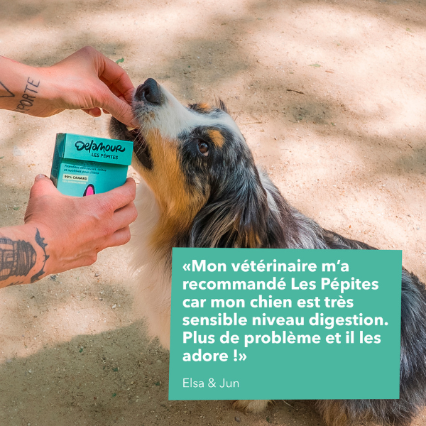 Friandise Pépites Delamour - Canard