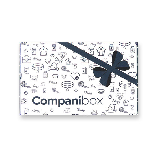 companibox pour chien version été