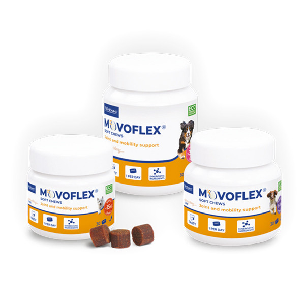 Virbac Movoflex