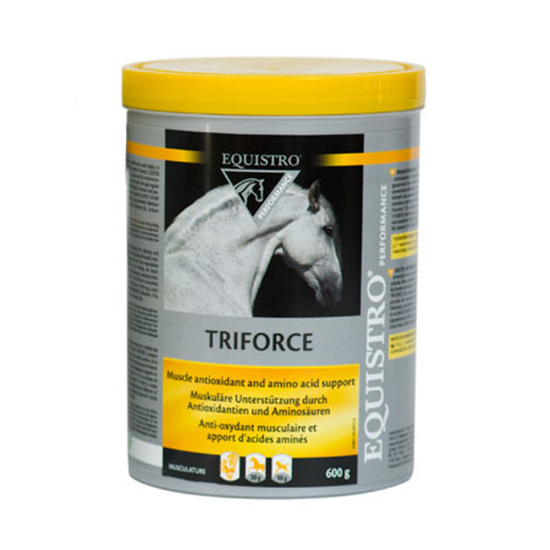 Equistro Triforce